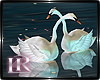 iR" Animated Swan