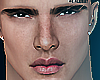 Heric - Head Mesh