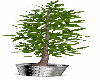Potted Tree v3