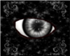 [ST] Gray Eye