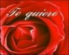 Te Quiero Red Rose