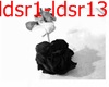 infernosounds black rose