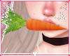 𝓼. my carrot ♡