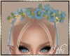 -I- S. Butterfly Crown B