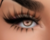Brown High Eye.