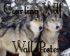 Courting Wolves Poster