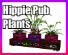 Hippie Pub Plants