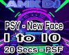 PSY - New Face