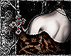 âï¹Nocturnal Roar âï¹Nocturnal Roar