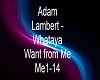 Adam Lambert - Whataya