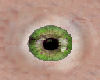 Sinsemillian Green eye