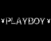 ~. Play Boy ~