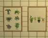 ♥ plants frames