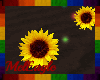Sunflowers (SUNF)