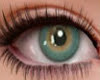 Perfect eye SL e
