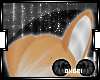 O| Shiba Inu Ears V4