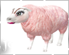 Bnki sheep