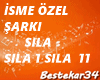 Özel  Şarkı