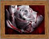 blood rose framed 1