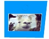 Drama Llama Box