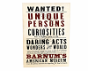 Wanted! Circus Poster