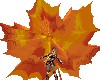 LEAF ANI BG M/F
