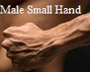 Male Small Hand