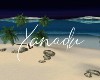 Xanadu Nighttime Beach