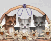 Kitten on Basket