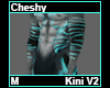 Cheshy Kini M V2