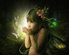 Adorable Baby Fairy