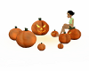 (pumpkin patch) sitting