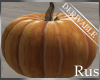 Rus DER Fall Pumpkin