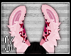 CK-Berri-Ears 3