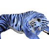 ☢ Tiger Brush B Blue