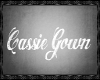 Cassie Gown Displey