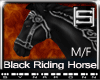 [S] Black Riding Horse