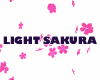 Light  Sakura