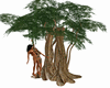 Jungle tree