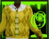 Fall Sweater and Tie M