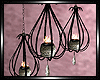:L: BEWITCHED LANTERNS