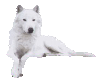 White Wolf sticker