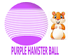 purple hamster ball