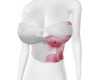 𝓚 | Floryn Top F 1/3