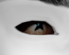 DMND