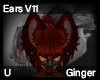Ginger Ears V11