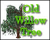 ~Old Willow Tree~