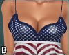Patriotic Scarf Dress
