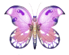 light pink butterfly
