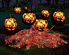 Haunted Pumpkin Patch 6